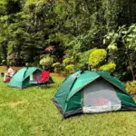 Camping Tent 1-To 2-People