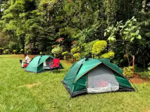 Camping Tent 1-To 2-People